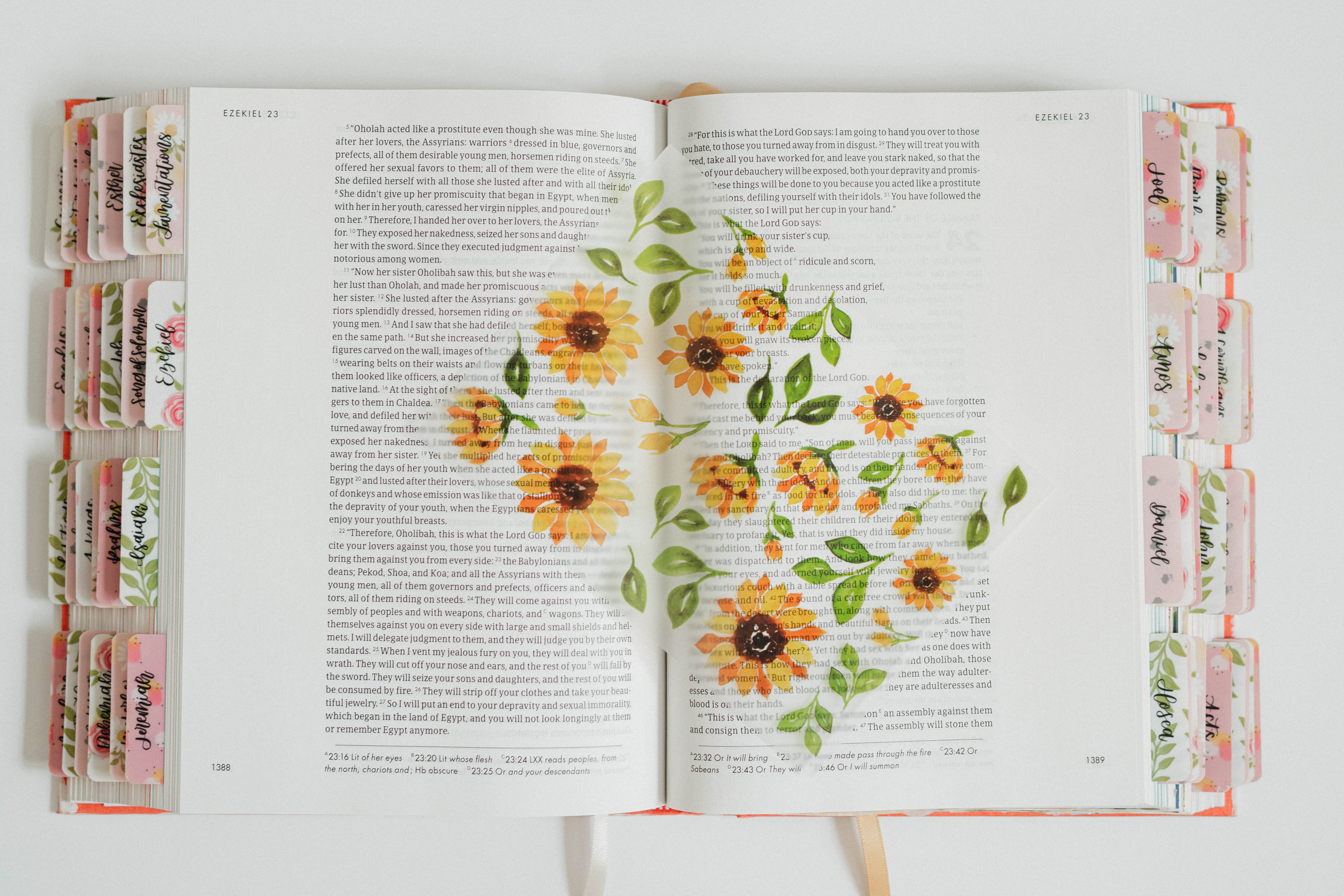 Sunflower Bible and Planner Clear Stickers - Image 2