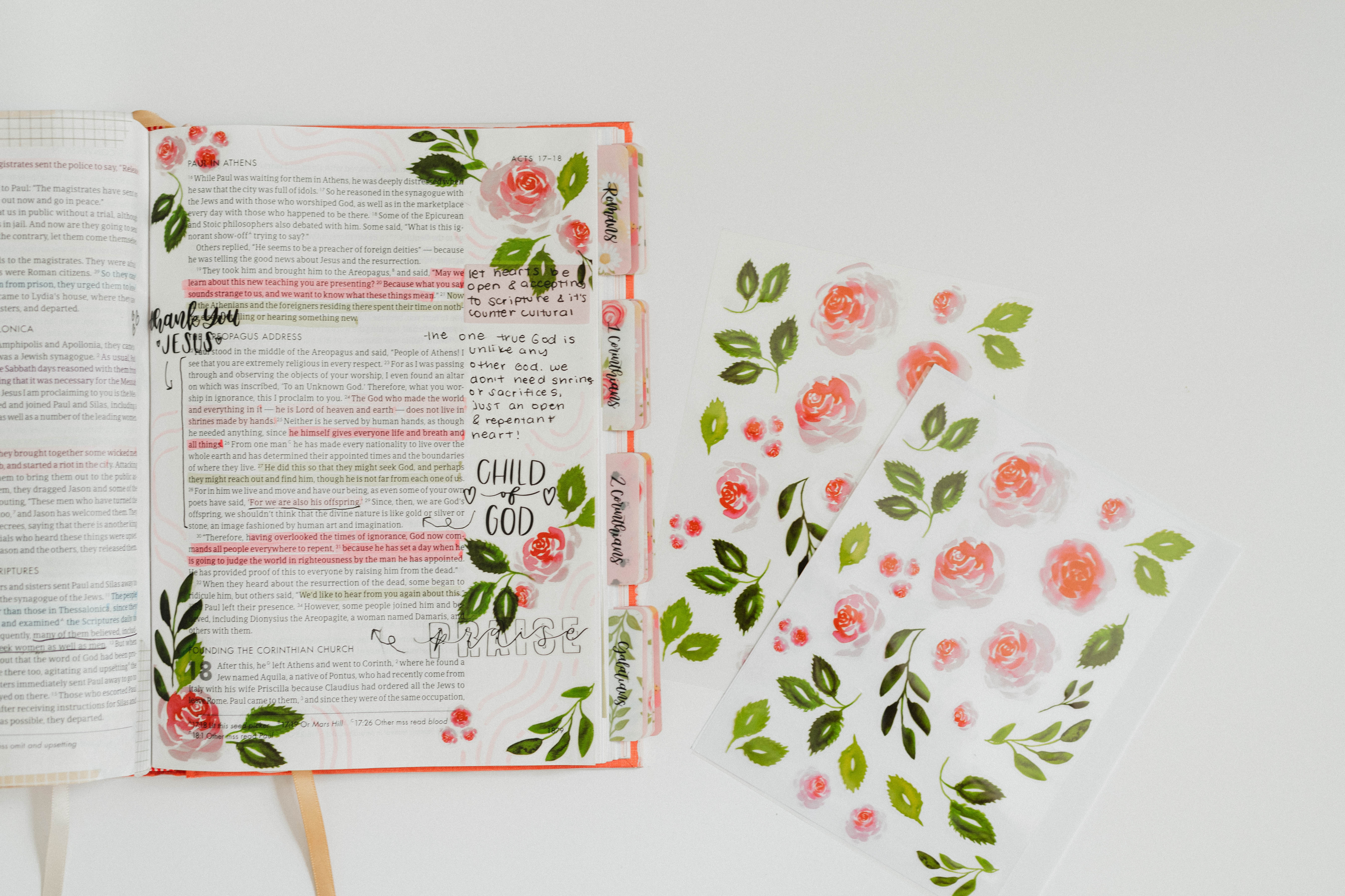 Rose Bible and Planner Clear Stickers - Image 6