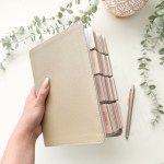 She Reads Truth tabbed Bible - Gold